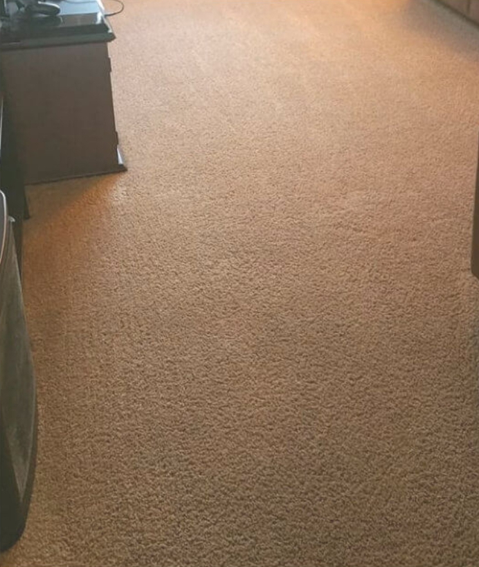 After - High-Traffic Commercial Carpet Restoration